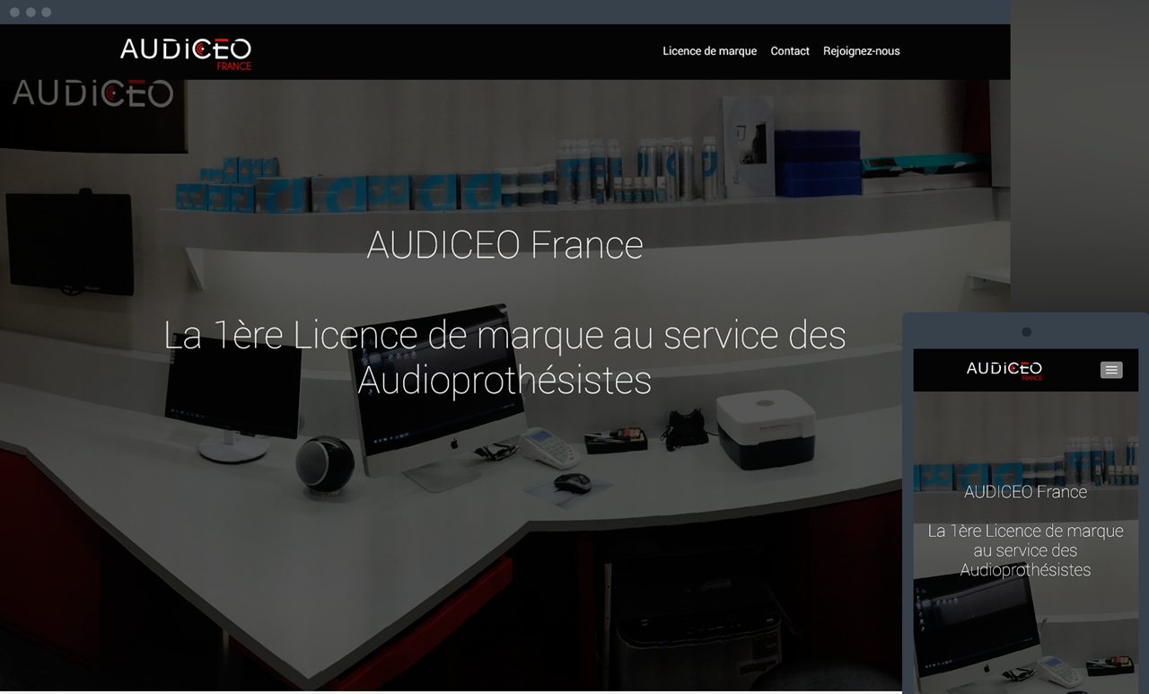 audiceofrance.fr